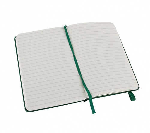 Notatnik Moleskine L(13x21cm) w linię butelkowa zieleń twarda oprawa (Moleskine Ruled Notebook Large Oxide-Green)