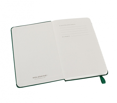 Notatnik Moleskine L(13x21cm) w linię butelkowa zieleń twarda oprawa (Moleskine Ruled Notebook Large Oxide-Green)