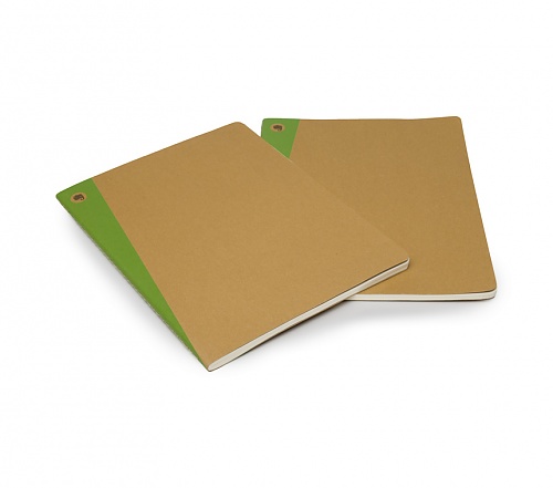 Zeszyty/notesy Evernote [19x25 cm.] w linię piaskowo-zielone w zestawie 2 sztuki (Moleskine Set of 2 Evernote Ruled Journals)